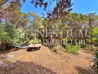 Villa unifamiliare Località Vigna Secca, Isola del Giglio — foto 4 di 23