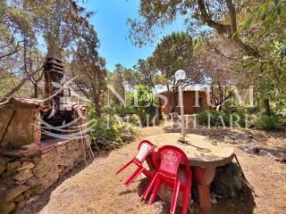 Villa unifamiliare Località Vigna Secca, Isola del Giglio — foto 2 di 23