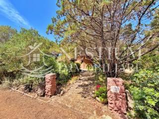 Villa unifamiliare Località Vigna Secca, Isola del Giglio — foto 10 di 23