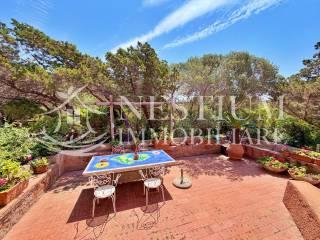 Villa unifamiliare Località Vigna Secca, Isola del Giglio — foto 20 di 23