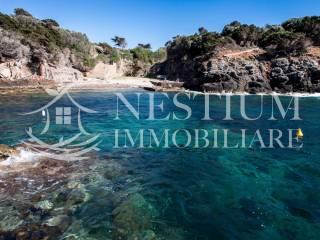 Villa unifamiliare Località Vigna Secca, Isola del Giglio — foto 13 di 23