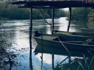 Open space, ottimo stato, primo piano, Centro, Pocenia — foto 7 di 7