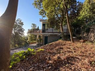 Villa unifamiliare via Gioacchino Crisafulli 23, San Martino Delle Scale, Monreale — foto 4 di 20