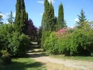 Terratetto unifamiliare Strada Provinciale Trevinanese, Acquapendente — foto 9 di 17