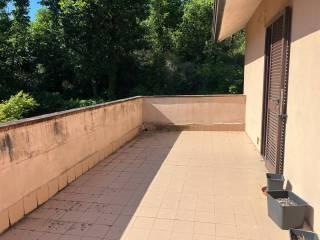 Villa unifamiliare Strada Provinciale San Marco ai Monti, San Marco Ai Monti, Sant'Angelo a Cupolo — foto 9 di 34