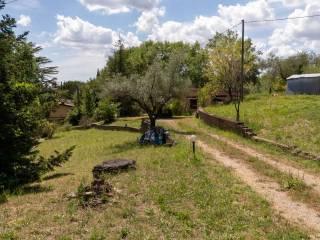 Villa unifamiliare Strada Provinciale Spineto, Roccantica — foto 44 di 45
