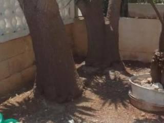 Appartamento in villa via Andrea Doria 7, Torre Suda, Racale — foto 2 di 8