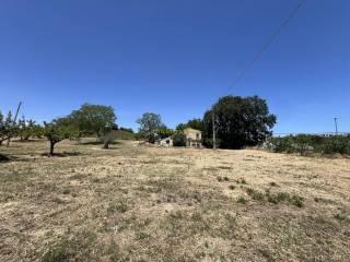 Villa unifamiliare Contrada San Martinello 6, Atri — foto 17 di 20