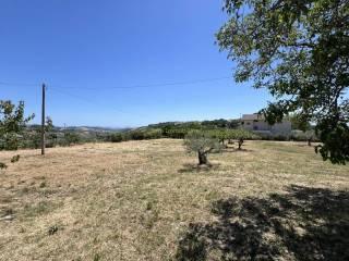 Villa unifamiliare Contrada San Martinello 6, Atri — foto 20 di 20