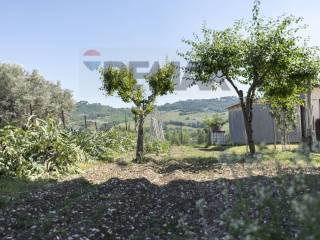 Appartamento via Fano 13, Moie, Maiolati Spontini — foto 14 di 61