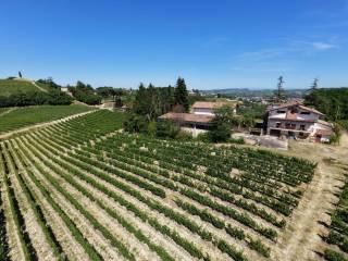 Villa plurifamiliare, buono stato, 446 m², Nizza Monferrato — foto 48 di 53