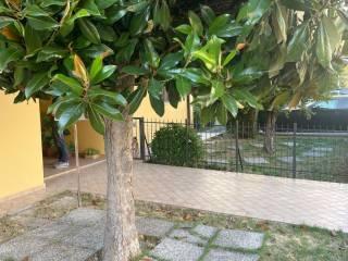 Appartamento corso 21 Gennaio, Montecchio, Vallefoglia — foto 18 di 20