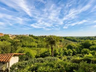 Villa plurifamiliare via Angelo Gatti, Camerano, Camerano Casasco — foto 29 di 37