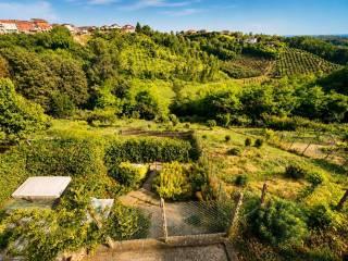 Villa plurifamiliare via Angelo Gatti, Camerano, Camerano Casasco — foto 24 di 37