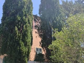 Villa unifamiliare Strada Provinciale traversa Livornese, Castelnuovo della Misericordia, Gabbro, Rosignano Marittimo — foto 4 di 7
