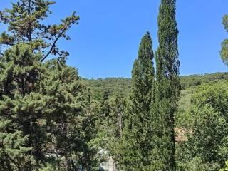 Villa unifamiliare Strada Provinciale traversa Livornese, Castelnuovo della Misericordia, Gabbro, Rosignano Marittimo — foto 5 di 7