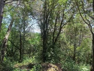 Villa unifamiliare Strada Provinciale traversa Livornese, Castelnuovo della Misericordia, Gabbro, Rosignano Marittimo — foto 6 di 7