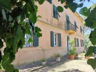 Villa unifamiliare Strada Provinciale traversa Livornese, Castelnuovo della Misericordia, Gabbro, Rosignano Marittimo — foto 2 di 7