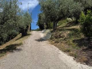 Terratetto plurifamiliare via Mole 13, Paliano — foto 5 di 27