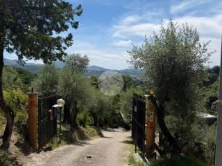 Terratetto plurifamiliare via Mole 13, Paliano — foto 18 di 27