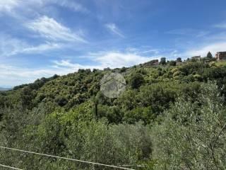 Terratetto plurifamiliare via Mole 13, Paliano — foto 17 di 27
