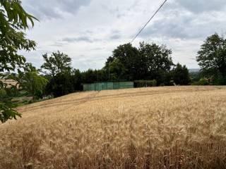 Villa unifamiliare via Montesecco 3, Tabano - Montecappone, Jesi — foto 55 di 56