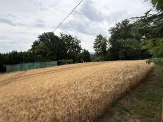 Villa unifamiliare via Montesecco 3, Tabano - Montecappone, Jesi — foto 29 di 56