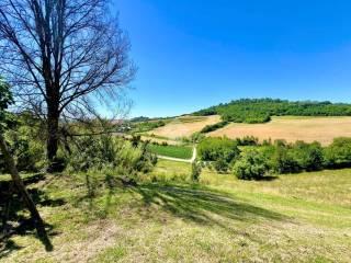 Terratetto plurifamiliare Cascina gerbido, Montiglio Monferrato — foto 11 di 12