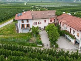 Terratetto plurifamiliare Località Maso Gesuiti 4, Zambana, Terre d'Adige — foto 8 di 25