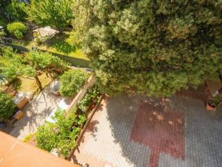 Villa bifamiliare via Antonio Rosmini 23, Rosignano Solvay, Rosignano Marittimo — foto 14 di 100