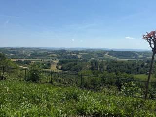 Villa unifamiliare Borgata Torrazzo, Torrazzo, San Damiano d'Asti — foto 14 di 19