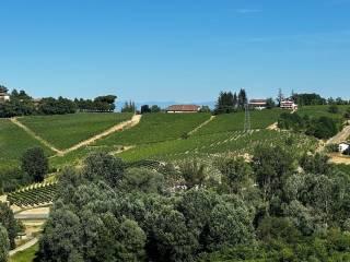 Villa plurifamiliare, buono stato, 446 m², Nizza Monferrato — foto 35 di 53