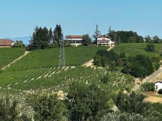 Villa plurifamiliare, buono stato, 446 m², Nizza Monferrato — foto 10 di 53