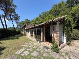 Rustico, ottimo stato, 100 m², San Pietro A Monte, Città di Castello — foto 4 di 18