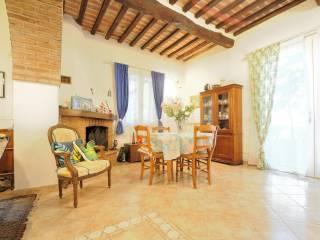 Rustico, ottimo stato, 262 m², Campiglia Marittima — foto 5 di 26