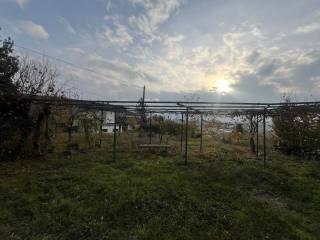 Cascina Strada Bastia 5, Costigliole d'Asti — foto 5 di 10
