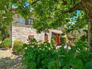 Villa unifamiliare Strada provinciale della Panca 42, Greve in Chianti — foto 10 di 43