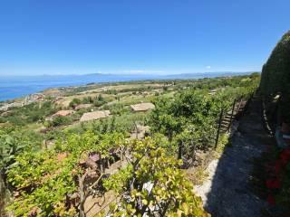 Villa unifamiliare Contrada Priscopio, Zambrone — foto 3 di 45