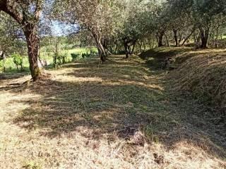 Terratetto unifamiliare via della Ruga, Colle di Compito - Castelvecchio, Capannori — foto 17 di 25