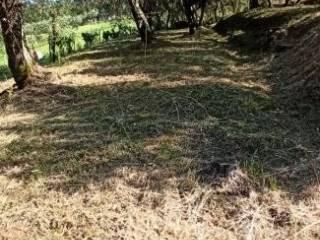 Terratetto unifamiliare via della Ruga, Colle di Compito - Castelvecchio, Capannori — foto 5 di 25