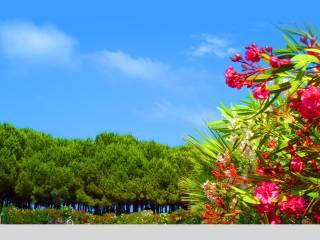 Trilocale via Riva del Sole 57d, Centro, Giulianova — foto 3 di 20