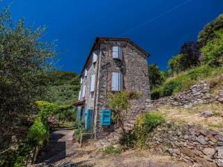 Rustico Località Teatro Vecchio, Borgo a Mozzano — foto 28 di 30