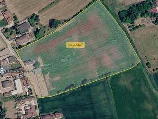 Villa unifamiliare via Muri 75, Bonavicina, San Pietro di Morubio — foto 8 di 18