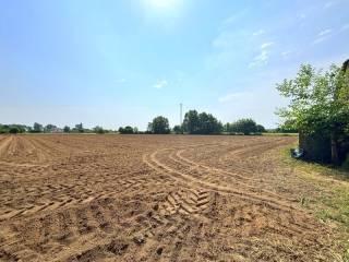Villa unifamiliare via Muri 75, Bonavicina, San Pietro di Morubio — foto 16 di 18