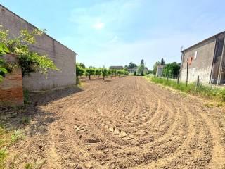 Villa unifamiliare via Muri 75, Bonavicina, San Pietro di Morubio — foto 3 di 18