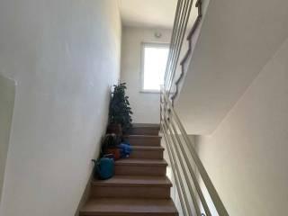 Villa unifamiliare Strada Cantone Masserano e Calaria 43, Vandorno, Piazzo, Cossila, Biella — foto 10 di 54