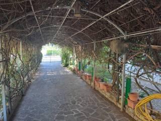 Villa bifamiliare via Mimi Quilici Buzzacchi, Medole — foto 13 di 27