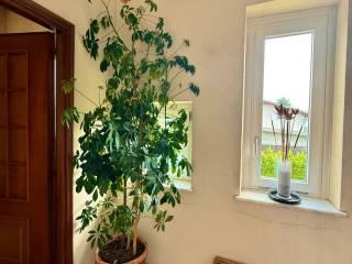 Villa bifamiliare via Biella 60, Candelo — foto 21 di 36