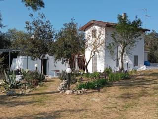 Villa bifamiliare Contrada Lezzi 131, Noci — foto 26 di 28