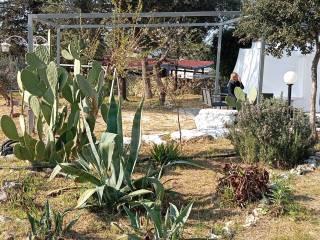 Villa bifamiliare Contrada Lezzi 131, Noci — foto 3 di 28